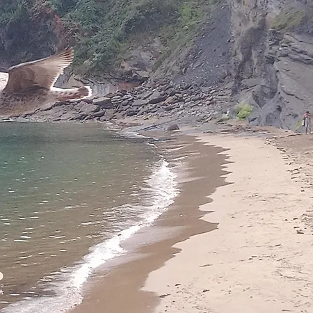 79 Vut6993as Apartamento