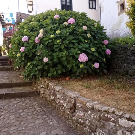 79 Vut6993as Apartamento *