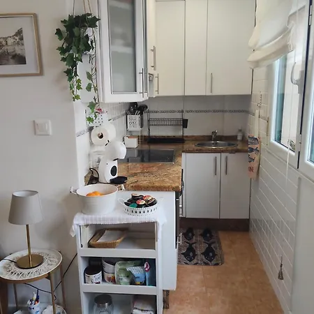 79 Vut6993as Tazones