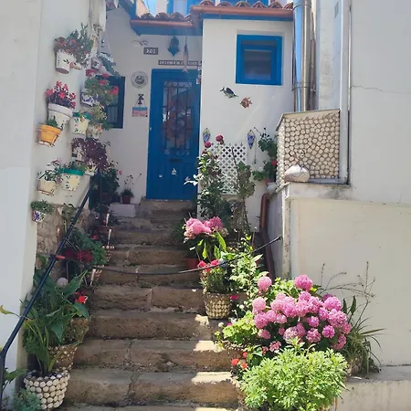 79 Vut6993as * Tazones