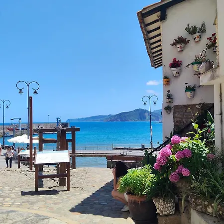 Apartamento 79 Vut6993as