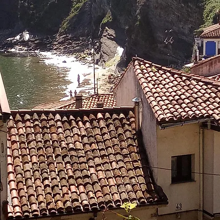 Tazones,79 Tazones