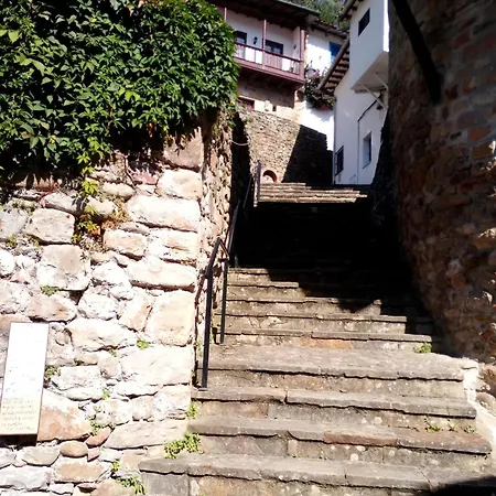 Tazones,79 Tazones