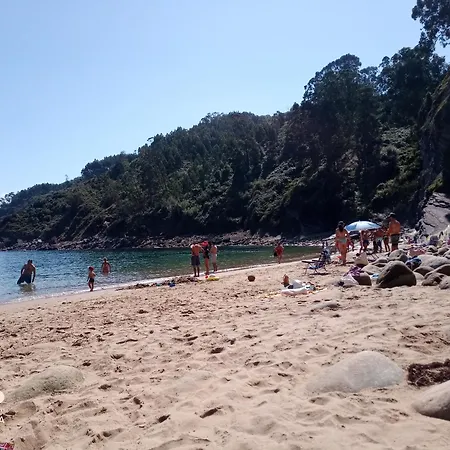 Tazones,79 Tazones