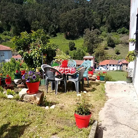 Tazones,79 *