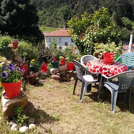 Tazones,79 * Tazones