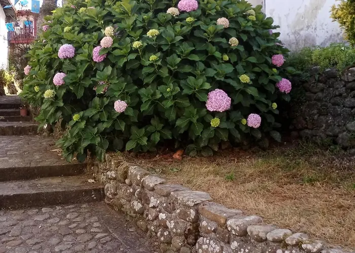 79 Vut6993as 公寓 *